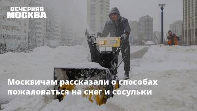 Москвичам рассказали о способах пожаловаться на снег и сосульки - vm.ru - Москва - Москва