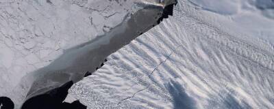 Ученые предрекают разрушение ледника «Судного дня» в Антарктиде через пять лет