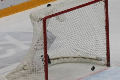 Сборная России по хоккею обыграла Чехию на домашнем этапе Евротура