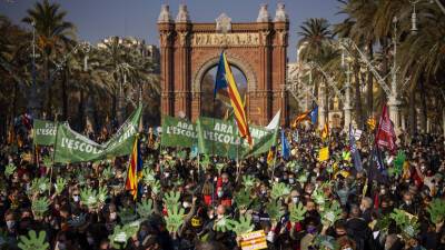 Пабло Асель - В Барселоне прошли протесты против решения суда о ситуации с обучением на испанском языке - russian.rt.com - Испания - Каталония