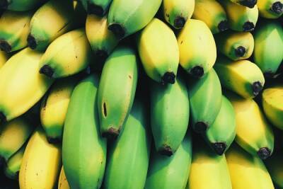 Врач рассказала, почему зеленые бананы полезнее желтых