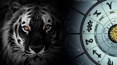Что год Тигра приготовил для каждого знака зодиака
