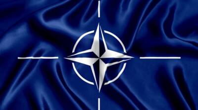 Почти половина населения Польши поддерживает вступление Украины в НАТО – СМИ