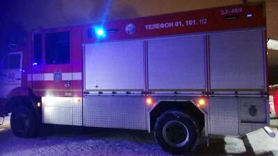 Ребенок и взрослый погибли в пожаре в Подмосковье