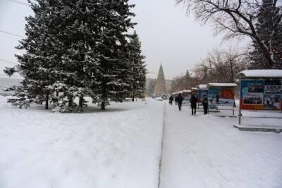 Похолодание обещают синоптики 19 декабря в Новосибирске