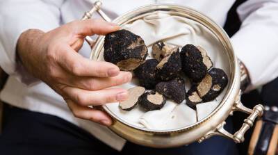 Разбираемся, почему весь мир в восторге от деликатесных грибов трюфелей
