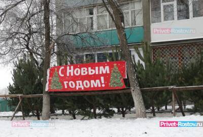 Десять незаконных елочных базаров ликвидировали в Ростове в декабре