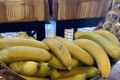 Недозрелые бананы намного полезнее спелых, сообщила диетолог