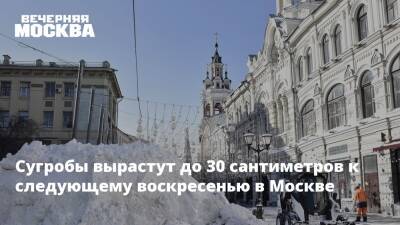 Сугробы вырастут до 30 сантиметров к следующему воскресенью в Москве