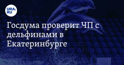 Госдума проверит ЧП с дельфинами в Екатеринбурге. Видео
