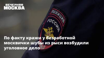 По факту кражи у безработной москвички шубы из рыси возбудили уголовное дело