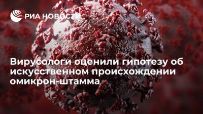 Вирусологи РАН Зверев и Нетесов не считают, что омикрон-штамм создали искусственно