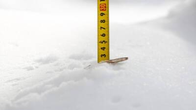 Снежный покров в Москве достигнет 30 сантиметров на следующей неделе