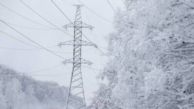 В Новгородской области без электричества остались более 1 тысячи человек