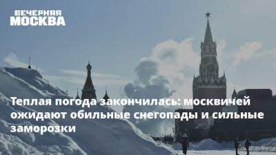 Теплая погода закончилась: москвичей ожидают обильные снегопады и сильные заморозки