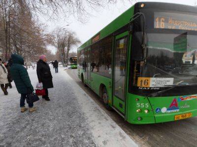 В Тюменской области запретили мигрантам работать в автобусах и такси