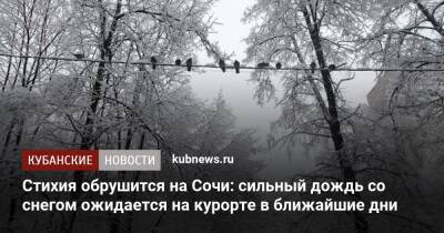 Стихия обрушится на Сочи: сильный дождь со снегом ожидается на курорте в ближайшие дни