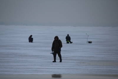 Спасатели не могут увести с тонкого льда Финского залива несколько десятков рыбаков
