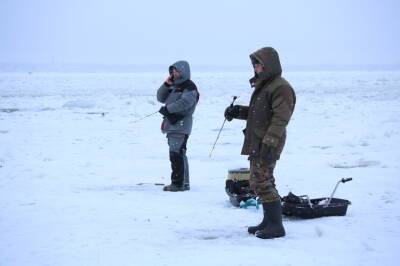 Бесстрашные рыбаки отказываются покидать тонкий лед в Красносельском районе