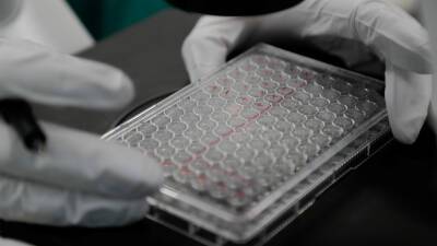 Гинцбург анонсировал исследование в 2022 году подавляющего размножение COVID-19 препарата