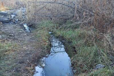 Волга в Саратове даже зимой пахнет канализацией