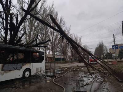 В Таганроге дерево упало на автобус с пассажирами