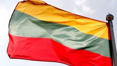 Глава Минобороны Литвы заявил о готовности поставлять летальное оружие Украине