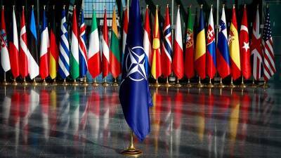 В ФРГ заявили о планах НАТО обсудить предложения РФ по гарантиям безопасности