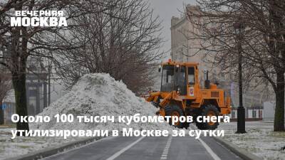 Около 100 тысяч кубометров снега утилизировали в Москве за сутки