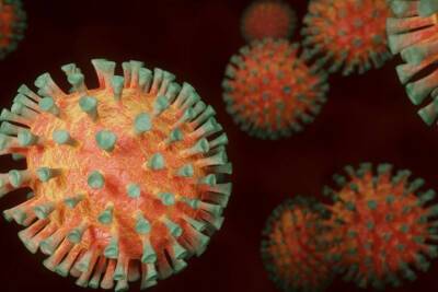 Тульские медики, работающие с коронавирусом в Новый год, получат дополнительные выходные