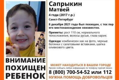 Похищенного отцом 4-летнего ребенка продолжают искать в Псковской области