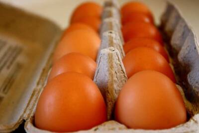 Эксперты рассказали, при каких обстоятельствах запрещается употреблять куриные яйца