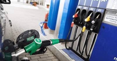 Украинские сети АЗС опустили цены на бензин и дизель. Подорожает ли топливо зимой