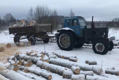 В Тверской области мужчина воровал древесину на незарегистрированном тракторе