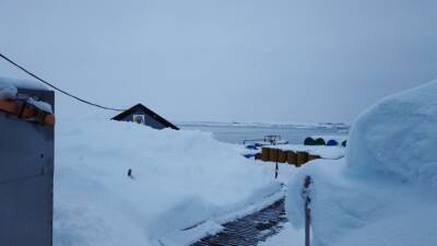 На украинской станции в Антарктиде выпало рекордное количество снега