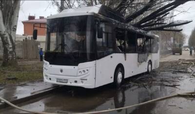 В Таганроге загорелся автобус из-за падения дерева на электросеть 19 декабря