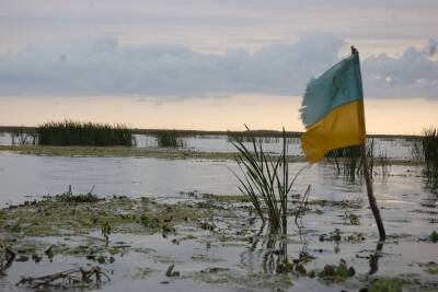 Украину сравнили с черепахой без панциря на оживленной трассе