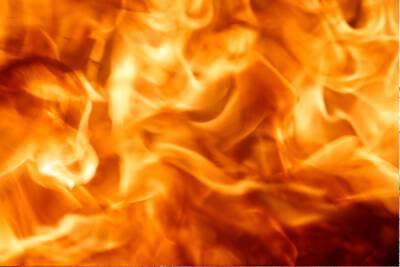 Пожар в квартире на улице Димитрова тушили 20 спасателей