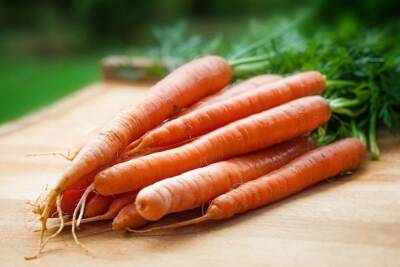 Диетологи объяснили, когда полезная морковь может нанести вред