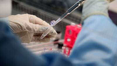 Немецкий биолог не исключил затухания пандемии с появлением «Омикрона»