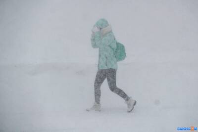 Снежный циклон задерживается на севере Сахалина и Курил