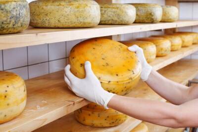 Свыше 200 кг санкционных сыров изъяли на складе в Люберцах