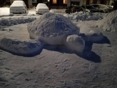 Гигантская снежная черепаха поселилась во дворе Выборга – фото