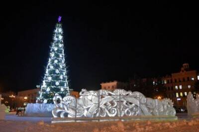 Хабаровск украсят живые новогодние елки