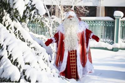 В Рыбинск приедет главный Дед Мороз