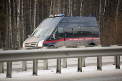 В Красноярске нашли задушенной 5-летнюю девочку. Тело ее матери лежало под окнами дома