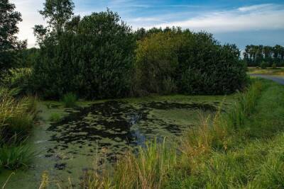 Белгородская область приобрела 2 аппарата-амфибии для очистки рек и водоемов