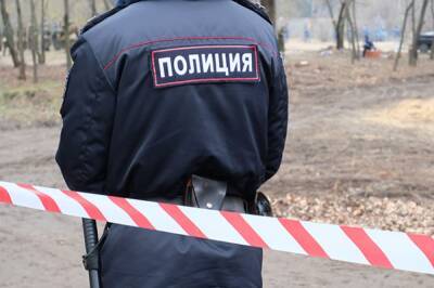 В Красноярске нашли убитой пятилетнюю девочку