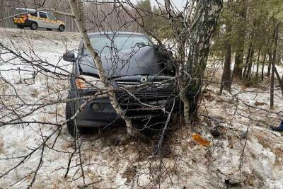 В Зауралье водитель врезался в дерево при неудачном обгоне
