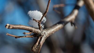 Уфа в первый день зимы побила температурный рекорд